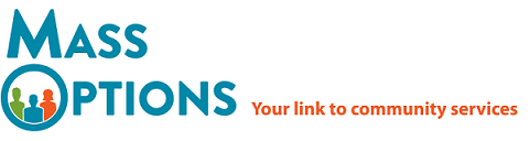 logo of MassOptions